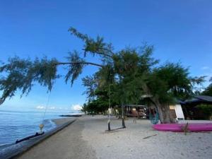 a beach with palm trees and a swing at Pinks Bungalow in Baan Tai