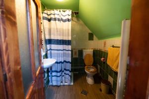 a small bathroom with a toilet and a sink at Casa de vacanta Vidrighin in Rau Sadului