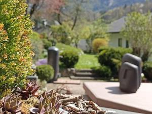 einen Garten mit Sukkulenten und Pflanzen und ein Haus in der Unterkunft Gästehaus Waldeck in Grossgmain