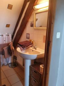 ein Bad mit einem Waschbecken und einem Spiegel in der Unterkunft La Mansarde: appartement tout confort à Vatan in Vatan