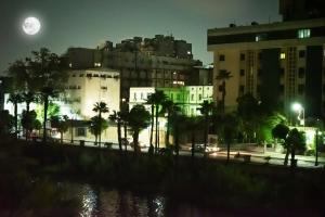 Nile Villa Hotel في القاهرة: اطلالة على مدينة في الليل مع اكتمال القمر