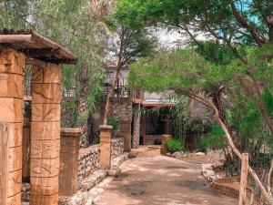 een loopbrug naar een huis met bomen bij Nkisi Guesthouse in Kang