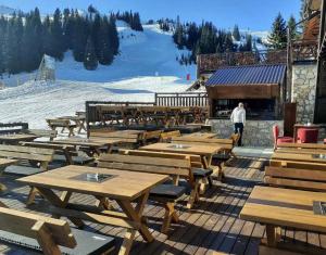 Pansion Zlatna Zita v zimě