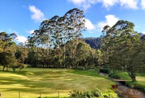 a view of a golf course with trees and a green at The Golf Green City Bungalow in Nuwara Eliya