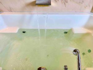 a bath tub filled with green liquid with water coming out at whole villa Munich, Alps view, Quiet and spacious in Feldkirchen-Westerham