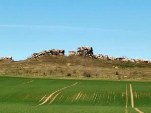 un champ vert avec des rochers au sommet d'une colline dans l'établissement Ferienwohnung Martina, à Hasselfelde