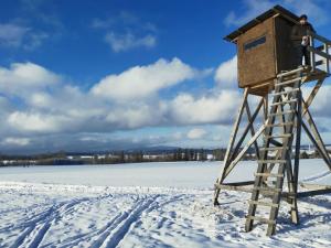 a man standing on a lifeguard tower in the snow at Ferienwohnung Martina in Hasselfelde