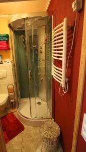 um chuveiro com uma porta de vidro na casa de banho em Kleine Wohngelegenheit am Stadtrand von Chemnitz em Chemnitz