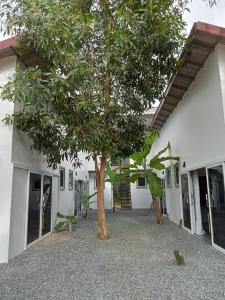 a tree in the courtyard of a building at Little Escape Guesthouse Nesat in Phumĭ Chroŭy Svay