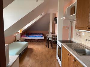 Kuchyňa alebo kuchynka v ubytovaní Apartments Ubytování U Zemanů