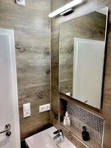 a bathroom with a sink and a mirror at Appartement für Monteure 18qm in Weiterstadt