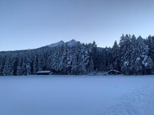 a snow covered mountain with trees and a lake at Waldchalet am Eichhof in Innsbruck
