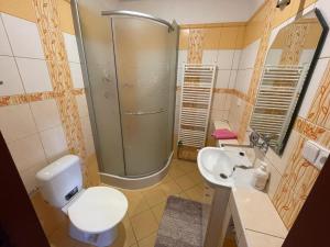 Kúpeľňa v ubytovaní Apartments Ubytování U Zemanů