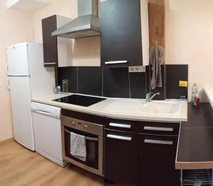 kuchnia ze zlewem i białą lodówką w obiekcie Résidence Gascogne, Appartement Rose Boréal w mieście Eaux-Bonnes +17 zdjęć