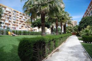 a sidewalk in a park with palm trees and a building at Sol y playa in Benalmádena