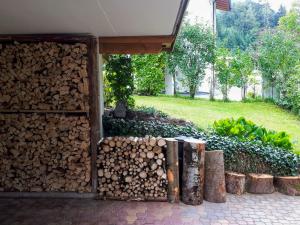 Zahrada ubytování Chalet Amberg by Interhome
