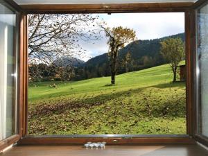a window with a view of a field at Chalet Amberg by Interhome in Schwoich
