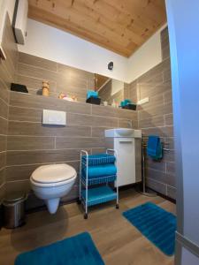 a bathroom with a toilet and blue rugs at Holiday Home Caro by Interhome in Kirburg