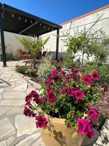 a large pot of pink flowers in a garden at 11 Port Lin in Le Croisic