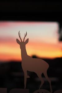 una silueta de un ciervo frente a una puesta de sol en Corzo Hotel en Cercedilla