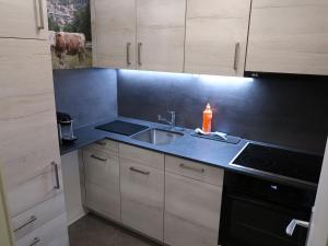 Kjøkken eller kjøkkenkrok på Apartment Ringstrasse - Utoring-14 by Interhome