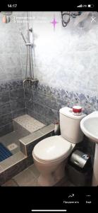 Barskoon Guest House في Barskoon: حمام مع مرحاض ومغسلة ودش