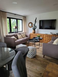 un soggiorno con divano e TV di Villa Pinia a Goczałkowice-Zdrój