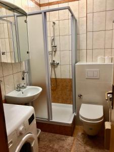 een badkamer met een douche, een toilet en een wastafel bij amz AP2 in Jadranovo