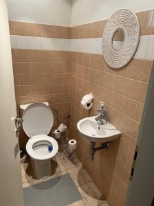 un baño con inodoro y lavabo en Iren Apartment Bratislava, en Bratislava 17 fotos más