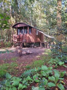 a cabin in the middle of a forest at Slaapwagen Veldzicht in Papenvoort