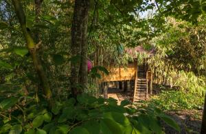 Zahrada ubytování Uravu Bamboo Grove Resort