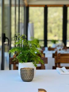 a plant in a pot sitting on a table at Corzo Hotel in Cercedilla