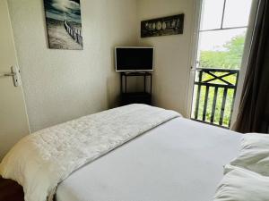 a bedroom with a bed and a television and a window at Appartement Cambo-les-Bains, 2 pièces, 2 personnes - FR-1-495-87 in Cambo-les-Bains