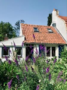 a house with purple flowers in front of it at Little Secret Zeeland + ligbad in Schoondijke