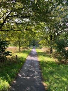 a tree lined path in a field with trees at Karekiet 42 in Oudemirdum