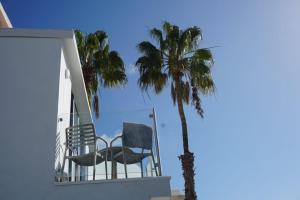 a balcony with two chairs and a palm tree at Complejo Sun's Gardens - Maspalomas in Maspalomas