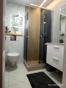 a bathroom with a shower and a toilet at Cozy loft at Teleferic in Sinaia +5 photos