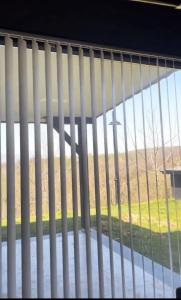 a window with vertical blinds looking out at a field at Villa a vamos 