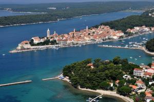 an aerial view of a small island in a body of water at Apartment Marta in Rab