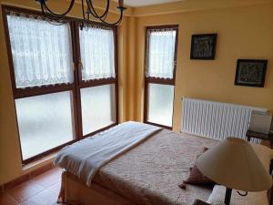 1 dormitorio con 1 cama con ventanas y lámpara en Casa nora villanua, en Villanúa