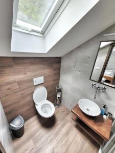 a bathroom with a toilet and a sink at Penzion Restaurace Ostrov in Písek