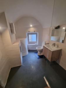 een kleine badkamer met een toilet en een wastafel bij Gîte "La Cachette"- Mirmande - in Mirmande