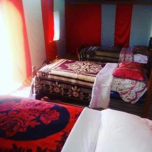 ザゴラにあるDesert Campの赤い壁のドミトリールーム ベッド2台