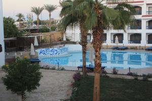 Bazén v ubytování El Khan Sharm Hotel nebo v jeho okolí