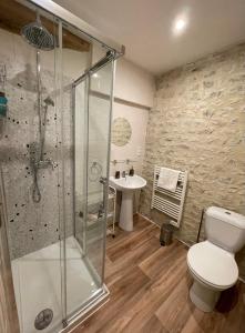 a bathroom with a shower and a toilet and a sink at La Ferme Delaunay in Saint-Côme-du-Mont