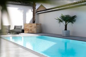 uma grande piscina azul num quarto com uma palmeira em KRACHER Guesthouse No 6 em Illmitz