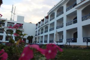 um hotel com flores cor-de-rosa em frente a um edifício em El Khan Sharm Hotel em Sharm El Sheikk