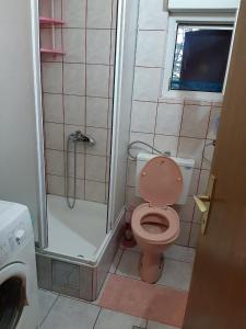 Koupelna v ubytování Apartman Fantazija