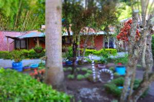 Gallery image of Casa familiar y agradable, parqueadero y BBQ in Armenia