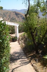 a walkway with a bench and a tree at Casa del Limon in Canillas de Aceituno